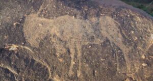 Ancient Animal Carving Vredefort