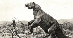 Megatherium Human Og