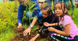 Ethiopian People Planting Trees