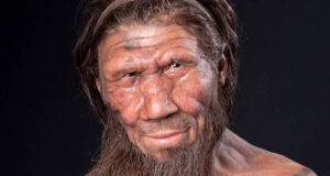 Smiling Neanderthal Closeup