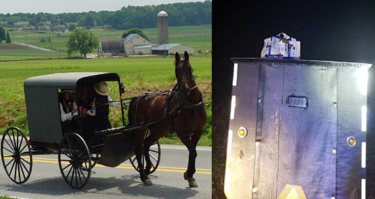 Horse And Buggy And Beer Featured