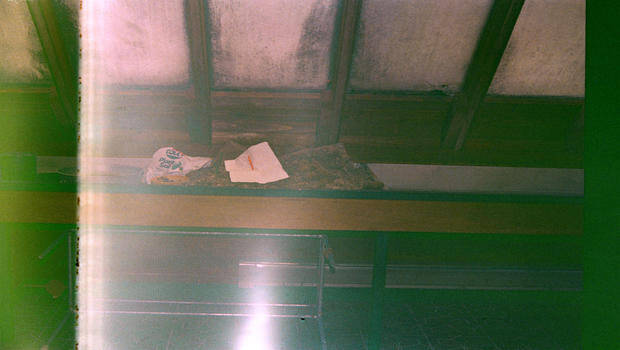 Kurt Cobain's Suicide Letter On Plants