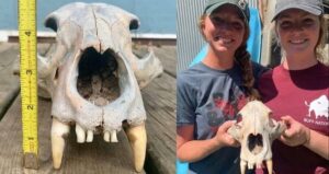 Sisters Find Ancient Skull