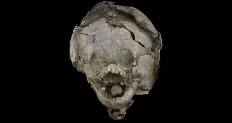 Skull And Helmet Burial Remains