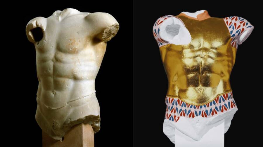Cuirassed Torso