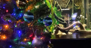 Wattson The Eel Beside His Christmas Tree Featured