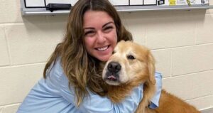 Scout Super Bowl Dog