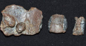 Curse Tablets Lined Up