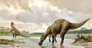 Hadrosaur Illustration