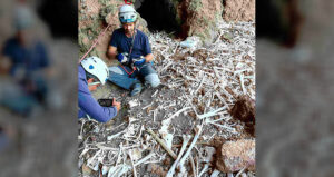 Guanche Cave Tomb On Gran Canaria Island
