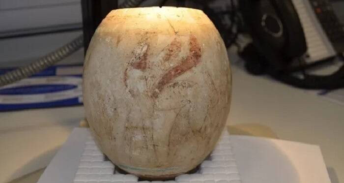 Ostrich Egg On Display