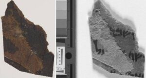 Dead Sea Scroll Fragments