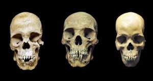 Skulls Of Three Slaves