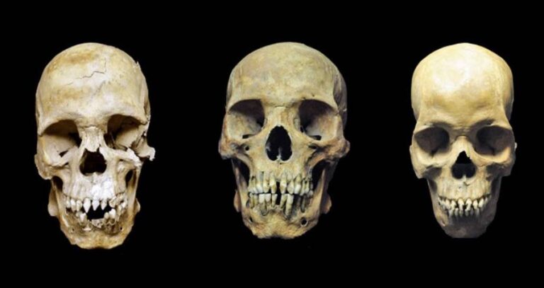 Skulls Of Three Slaves