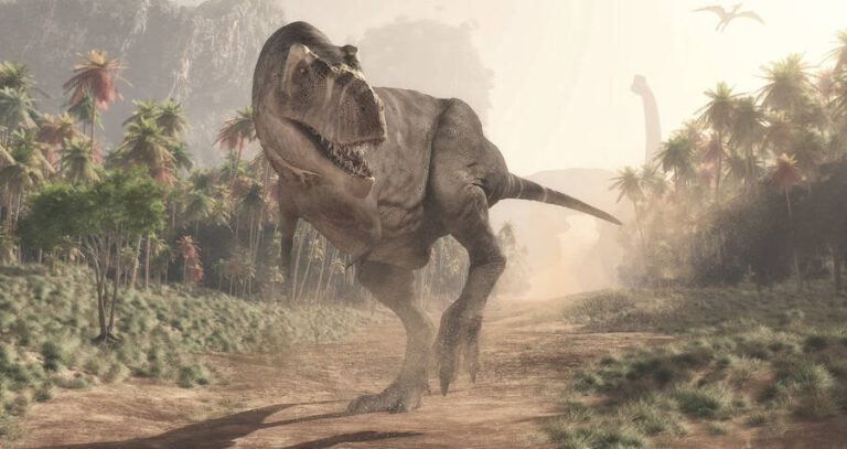 T. Rex Walking