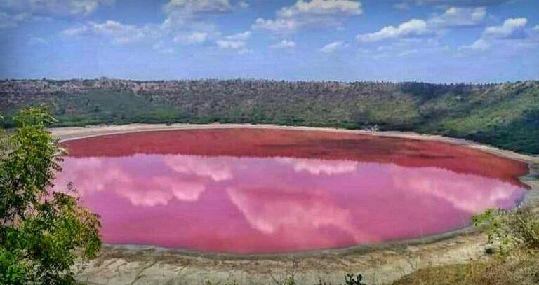 Pink Lonar Lake