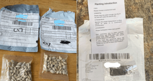 Mailed Seed Packaged From China