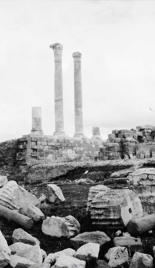 Timgad Ruins