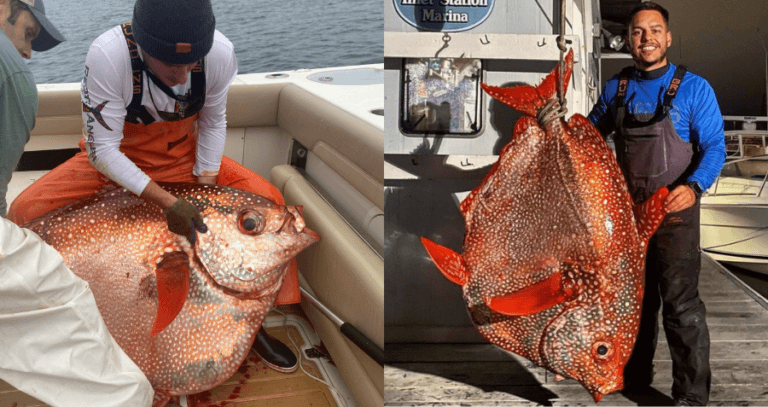 143 Pound Opah