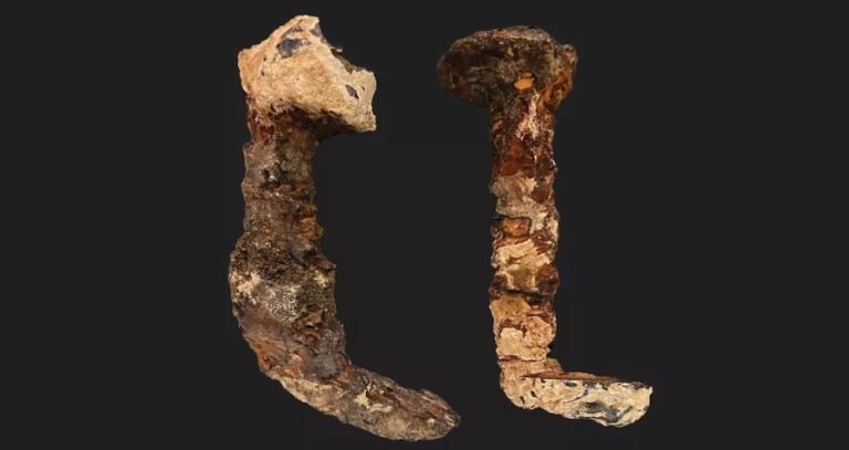 Two Ancient Iron Nails