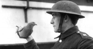 Ww1 Soldier Holding A Pigeon