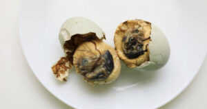 Disgusting Food Museum