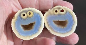 Cookie Monster Quartz