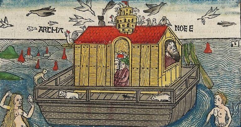 Illustration Of The Ark