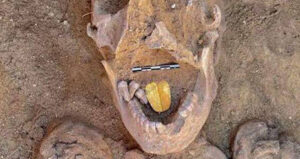 Zoomed Out On Gold Tongue