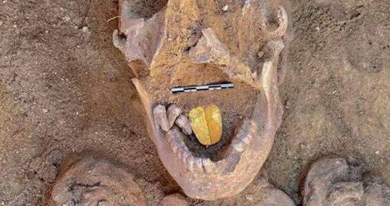 Zoomed Out On Gold Tongue