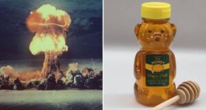 Mushroom Cloud And Honey Bottle