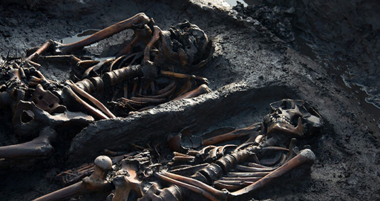 Remains Of Two Ancient Scythian Warriors