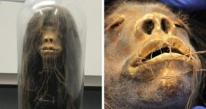 Shrunken Head Side By Side Close Up Featured