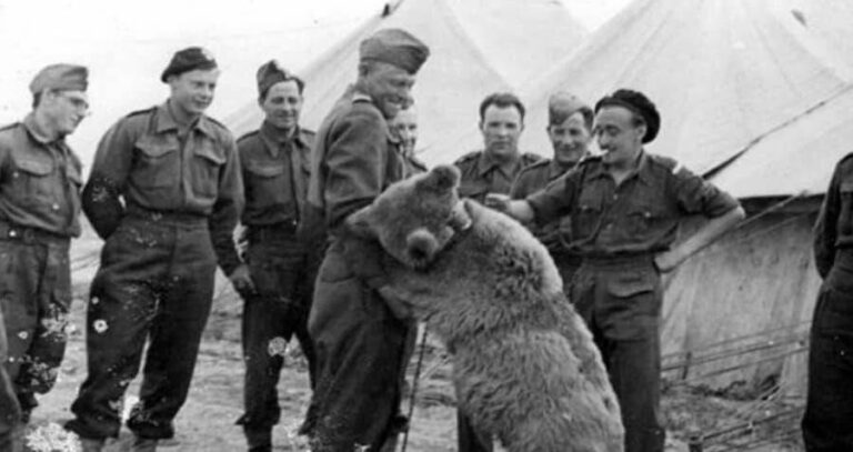Wojtek Playing