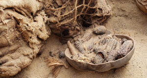 Ancient Grave Offerings