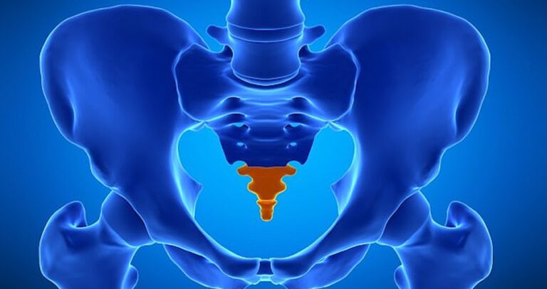 Human Tailbone Featured