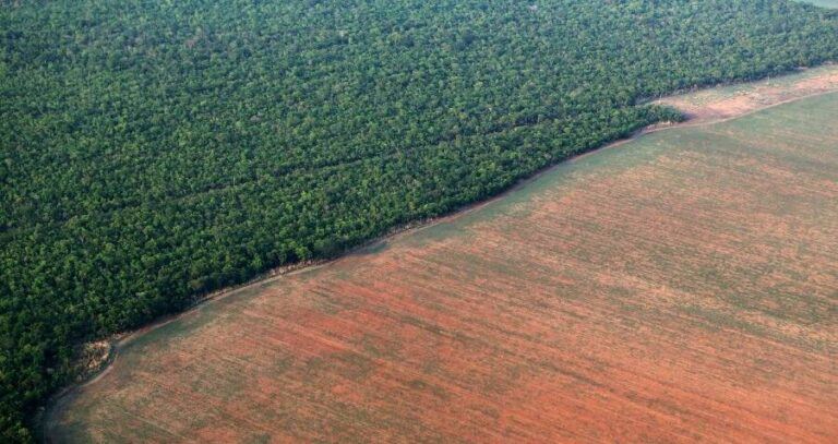 Amazon Rainforest Protection Plan