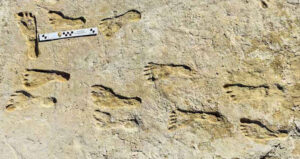 The Oldest Footprints