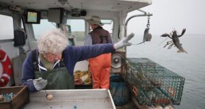 Virginia Oliver Releasing A Lobster