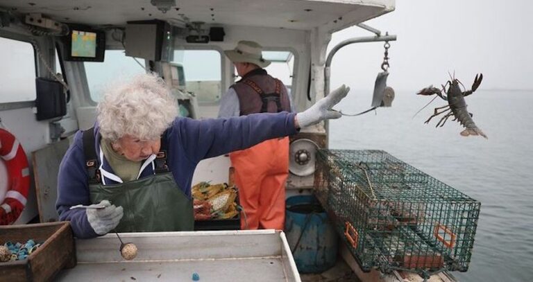 Virginia Oliver Releasing A Lobster