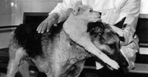 Mad Scientists Featured