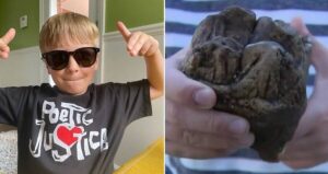 Mastodon Tooth Find 1