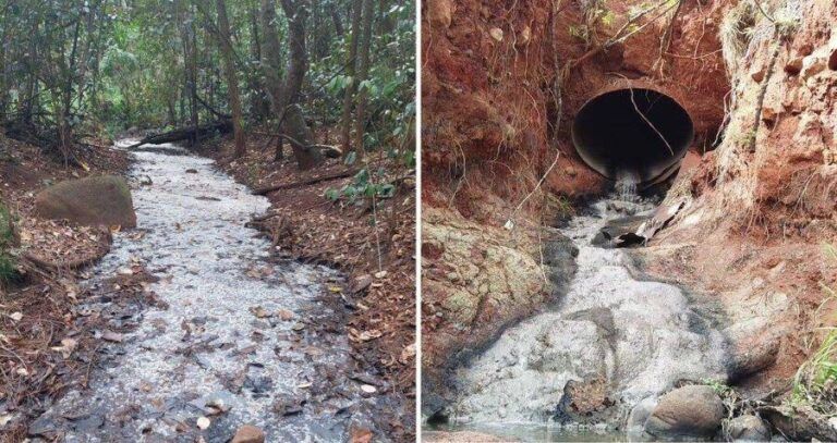 Hawaii Alcohol Stream