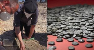 Roman Coin Dig