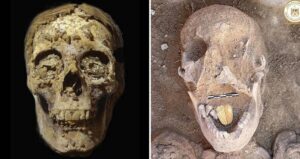 Oxyrhynchus Golden Tongued Mummies