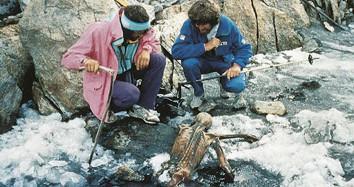 Discovering Otzi