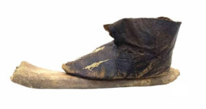 Ice Skate With A Bone