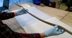 Alaskan Bow Found In A Lake