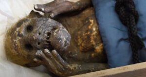 Asakuchi Mermaid Mummy