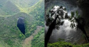 China Sinkhole Forest
